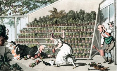 Lale Salonundaki Talihsizlik, c1816 by Thomas Rowlandson