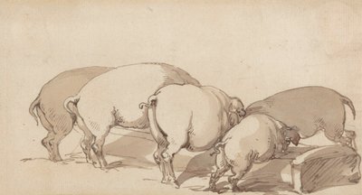 Çukurdaki Domuzlar, c.1790 (kalem ve mürekkepli grafit ve kağıt üzerinde kahverengi yıkama) by Thomas Rowlandson