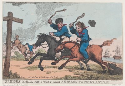 Shields