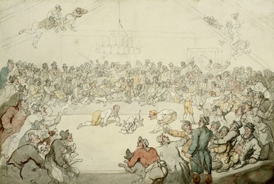 Westminster Pitt, 1798 by Thomas Rowlandson