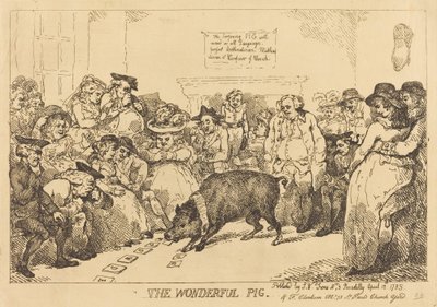 harika domuz by Thomas Rowlandson