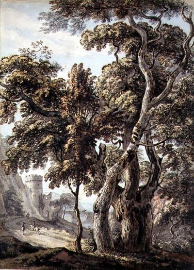 Ağaçların İncelenmesi (kalem ve mürekkep ve kağıt üzerine sulu boya) by Thomas Sandby