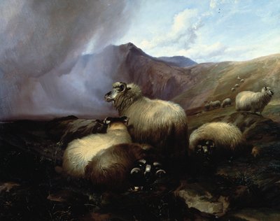 Dağlık Bir Peyzajda Yayla Koyunu, 1854 by Thomas Sidney Cooper