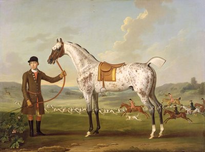 Scipio, Albay Roche