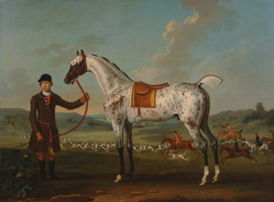 Benekli bir avcı olan Scipio, Albay Roche'un mülkü by Thomas Spencer