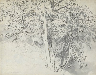 Ağaçların İncelenmesi by Thomas Stothard