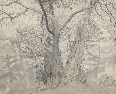 Ağaç Çalışması by Thomas Stothard