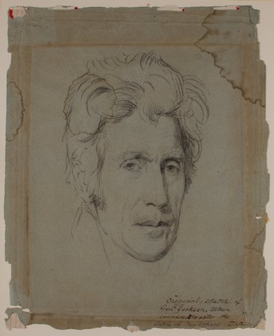 Andrew Jackson, New Orleans Savaşı