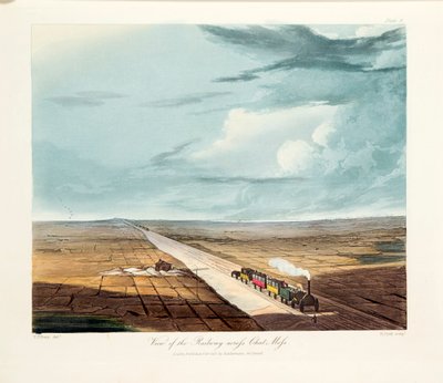 Rainhill Köprüsü, Chat Moss, Liverpool yakınlarında, 1831 by Thomas Talbot Bury