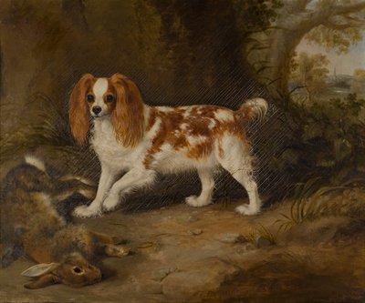 Ölü Tavşanlı Bir Spaniel, 1822-74 dolayları (tuval üzerine yağlı boya) by Thomas W. Bretland