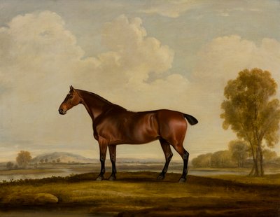 Georgiana: Bir At, 1819 dolayları (tuval üzerine yağlı boya) by Thomas Weaver