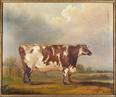 Wildair, bir nehir manzarasında sekiz yaşında bir düve, 1827 by Thomas Weaver