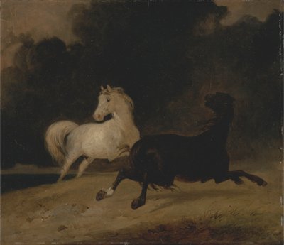 Fırtınada Atlar by Thomas Woodward