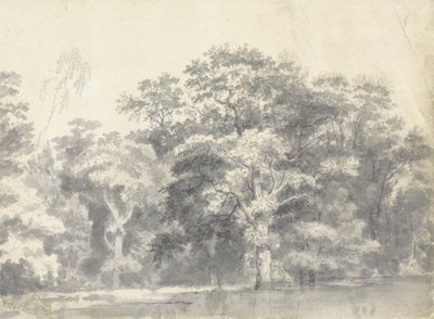 Nehir kıyısındaki ağaçlar by Thomas Wyck