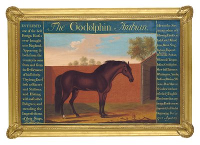 Godolphin Arabian (tuval üzerine yağlı boya) by Thomas of Pall Mall Butler