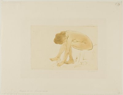  by Théophile Alexandre Pierre Steinlen