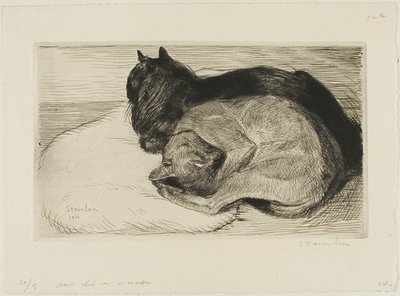  by Théophile Alexandre Pierre Steinlen