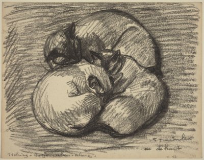 Kediler: Tsching, Batzar ve Blanc-Blanc, 19. yüzyılın sonları ile 20. yüzyılın başlarında. by Théophile Alexandre Steinlen