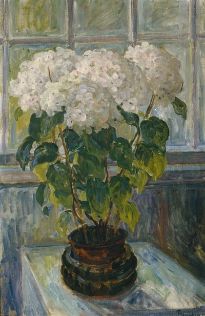 Ortanca by Thorolf Holmboe