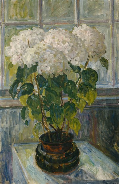 Ortanca by Thorolf Holmboe