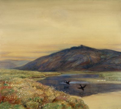 Kuşlar ile manzara by Thorolf Holmboe
