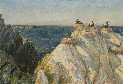 deniz kuşu by Thorolf Holmboe