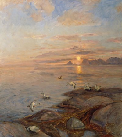 Gece Yarısı Güneşinde Deniz Kuşları (tuval üzerine yağlı boya) by Thorolf Holmboe