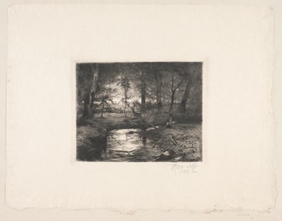 Borrevejle Ormanında Aa by Thorvald Niss
