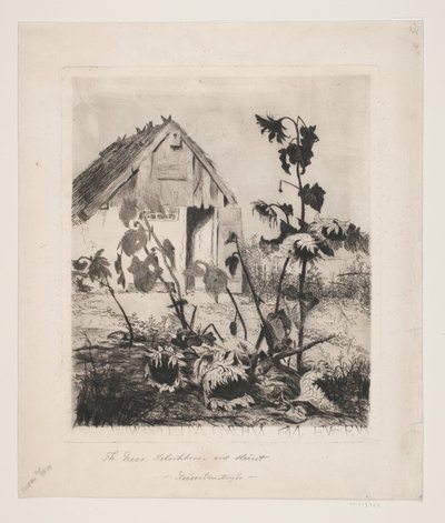 Evin yanında ayçiçekleri by Thorvald Niss