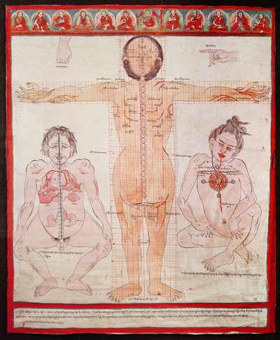 Anatomik Şema, 1938 (tuval üzerine serilen kumaş üzerine kalem ve suluboya) by Tibetan School