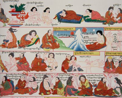 Tibet tıbbı üzerine el yazması (389729 detayı) by Tibetan School