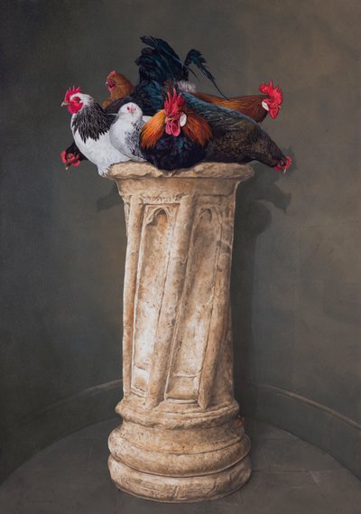 Tavuklar, Gözleri Aşağı by Tim Hayward