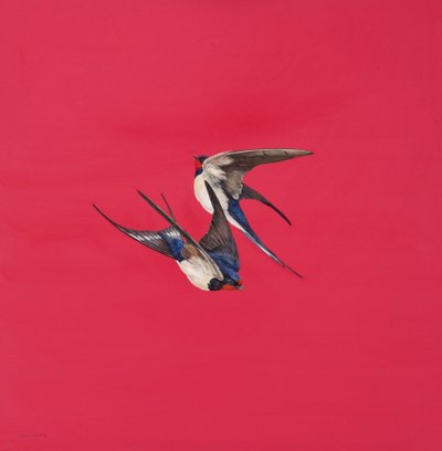 Suluboya tahtası üzerine Girdap-Kırmızı,Suluboya ve guaj, 50,8 x 50,8 cm by Tim Hayward