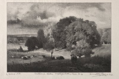 sonbahar meşe by Timothy Cole