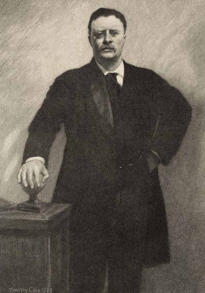 Theodore Roosevelt, 1928 by Timothy Cole