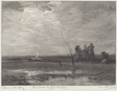 ovalar by Timothy Cole after John Francis Murphy