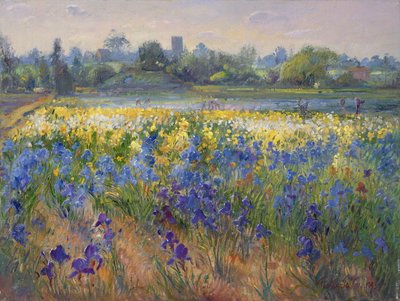 Burgate'de Mavi Sis, 1993 by Timothy Easton