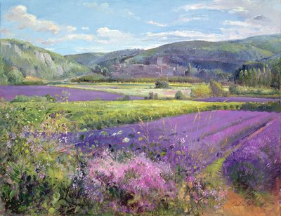 Eski Provence