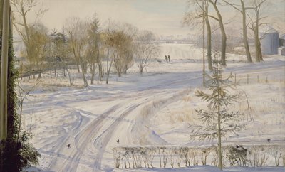 Moorhens aranıyor by Timothy Easton