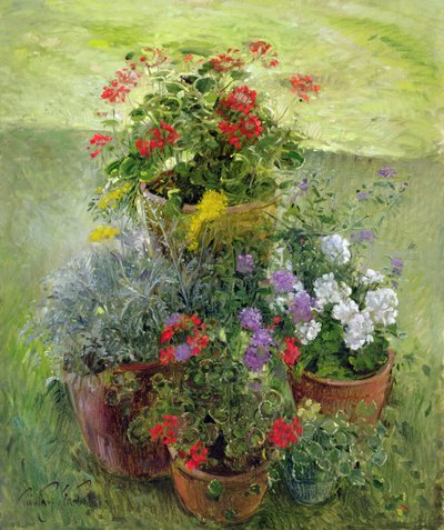 Gölgeli Saksılar (tuval üzerine yağlı boya) by Timothy Easton