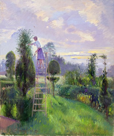 Şekillendirme by Timothy Easton
