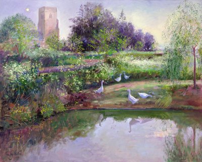 gün batımı yansımaları by Timothy Easton