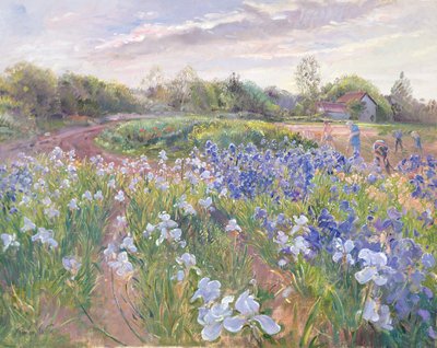 İrislerdeki Güneş Parıltısı, 1996 by Timothy Easton