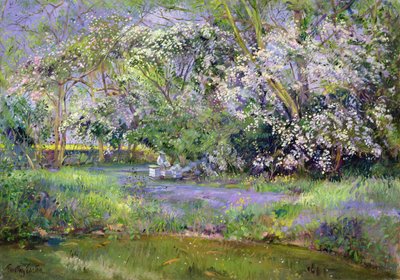 ormanlık kovanlar by Timothy Easton