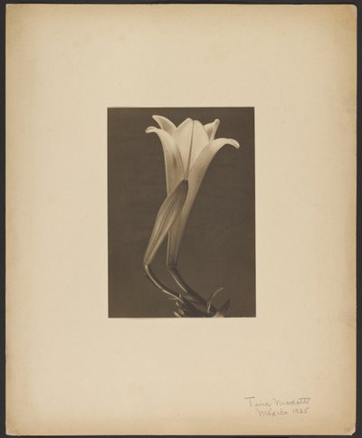  by Tina Modotti