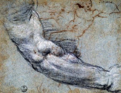 Kol çalışması, Titian (yaklaşık 1488-1576), çizim by Titian (c.1488 1576)