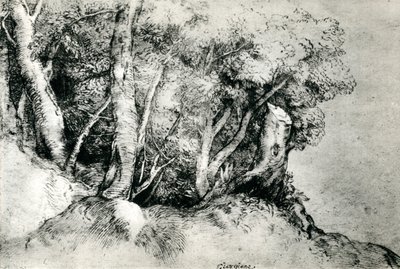 Orman Manzarası, c1516-1518, 1937 by Tiziano Vecelli