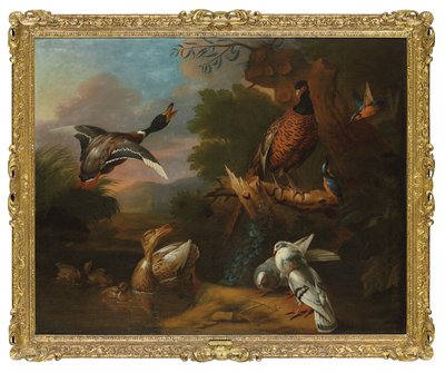 Bir sülün, güvercinler, ördek yavrusu ve yalıçapkını ve yeşilbaşlı bir ağaçlık havuzda uçuyor, ötesinde bir manzara (tuval üzerine yağlı boya) by Tobias (circle of) Stranover