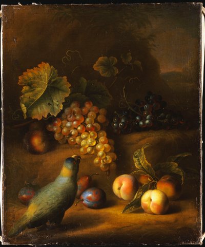 Peyzajda Üzüm, Şeftali ve Erik Olan Bir Papağan by Tobias Stranover