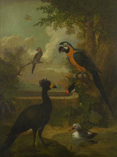 Macaw ve Manzaradaki Diğer Kuşlar by Tobias Stranover